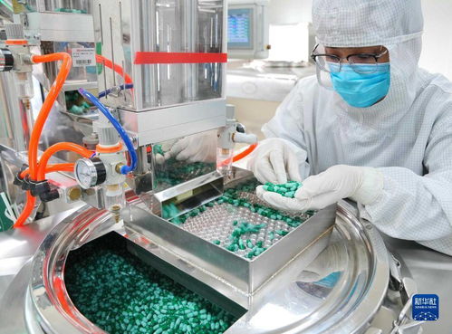 石家庄 打造生物医药产业集群 助推经济高质量发展